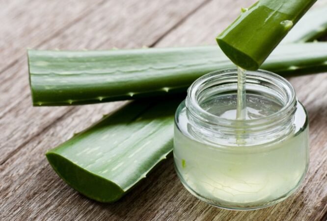 Webinario – Geles Bebibles